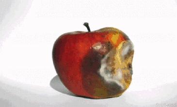 游戏专题 第113页