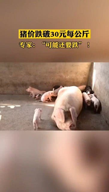 港澳新闻 第97页