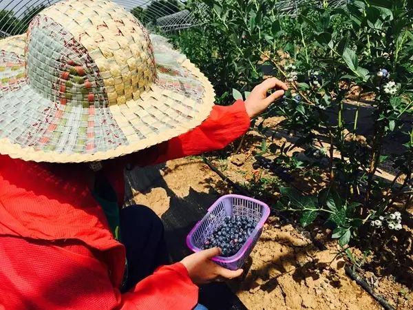娱乐生活 第75页